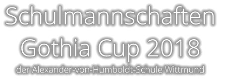 Schulmannschaften  Gothia Cup 2018   der Alexander-von-Humboldt-Schule Wittmund